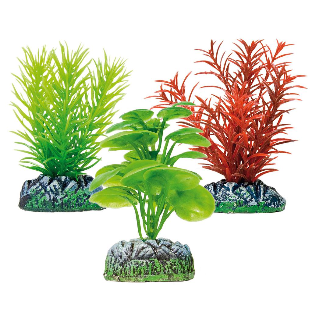 SET AQUATIC PLANTS (PLÁSTICO) multicolor 