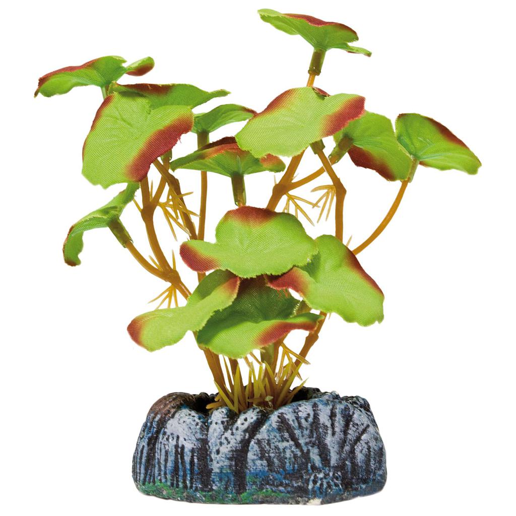 Nenúfar de AQUATIC PLANTS (SEDA) verde 20cm